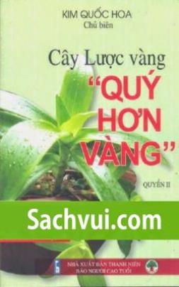 Cây Lược Vàng Quý Như Vàng