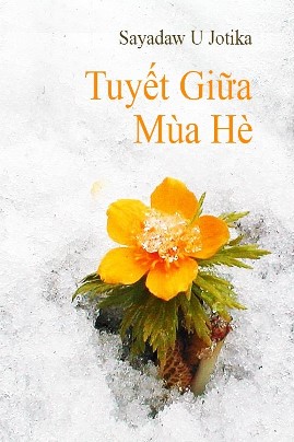 Tuyết Giữa Mùa Hè