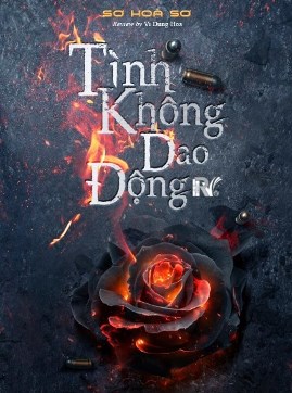 Tình Không Dao Động