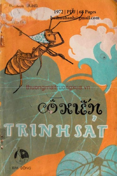 Cô Kiến Trinh Sát