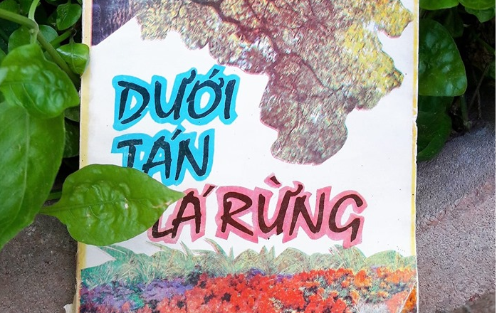 Dưới tán lá rừng